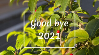 goodbye2021